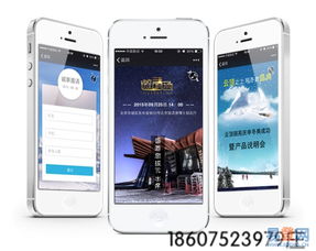【跨境电商:想经营得好,请先回答以下问题的图片】-龙岗 龙岗中心城易登网