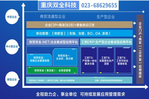 彭水生产型企业管理制度重庆管家婆软件二次开发