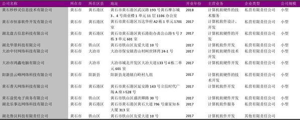 黄石市软件开发行业企业名录2018版623家