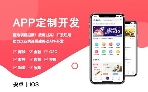 手机软件报价 厂家