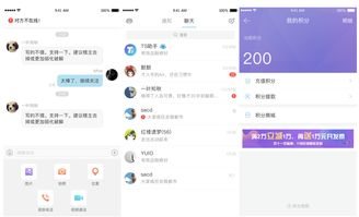 如日中天的微博模式在企业软件开发中的应用与前景