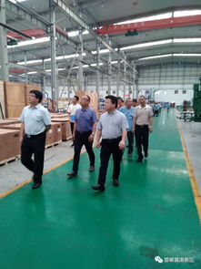 市统计局领导深入我区调研企业软件开发情况