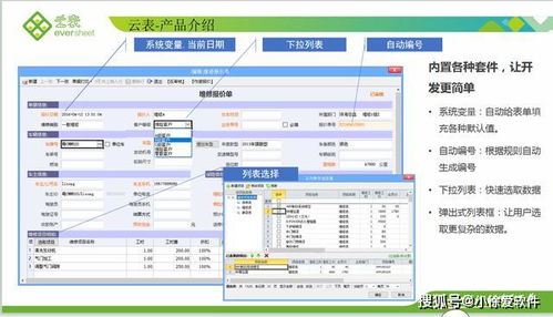 只需三天，0基础学会用表格开发企业应用软件
